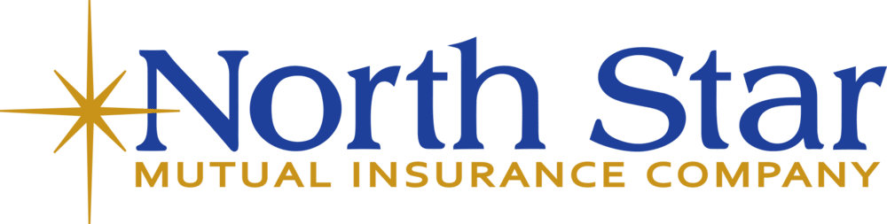 North Star Mutual Insurance Company logo