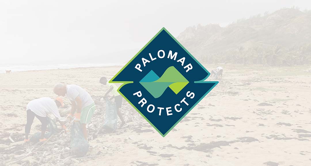 Palomar protects joins Team Rubicon