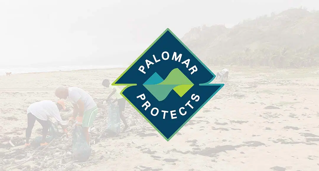 Palomar protects joins Team Rubicon